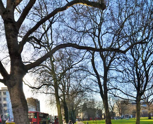 Shepherd’s Bush estate agents